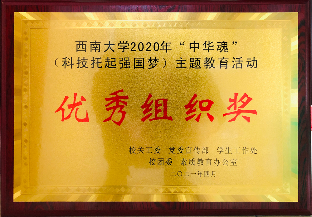 中华魂先进奖牌1.jpg
