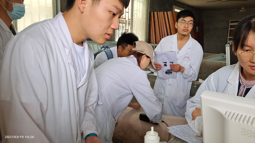 微信图片_20210321101933.png