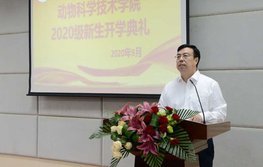 王进军副校长讲话.jpg