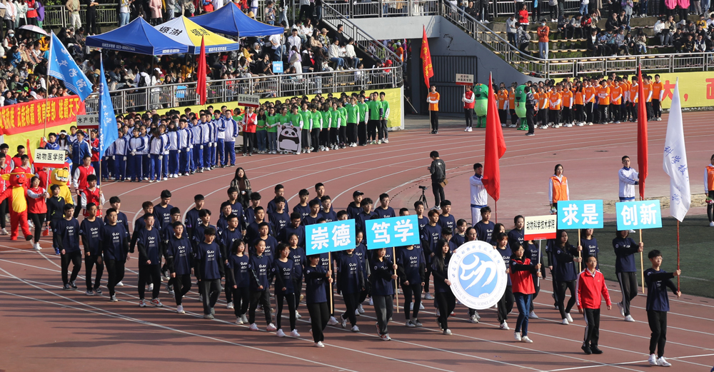运动会开幕式入场.jpg