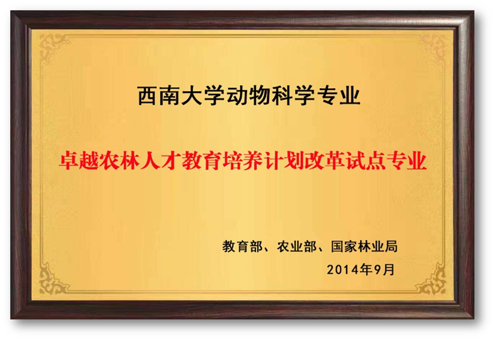 卓越人才.png