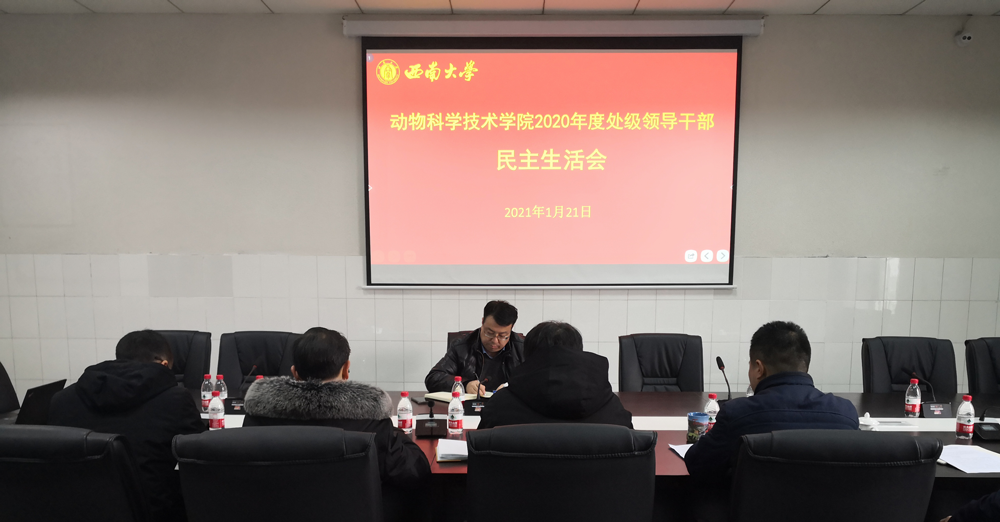 未标题-1.png